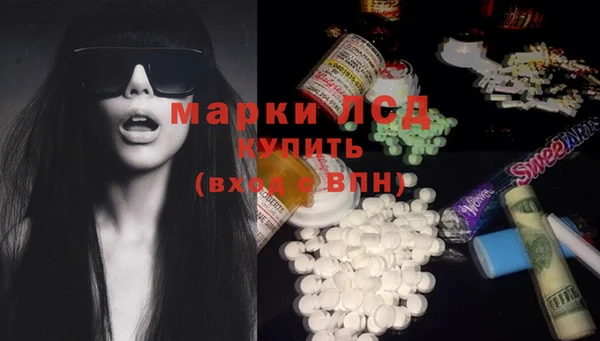 индика Козельск
