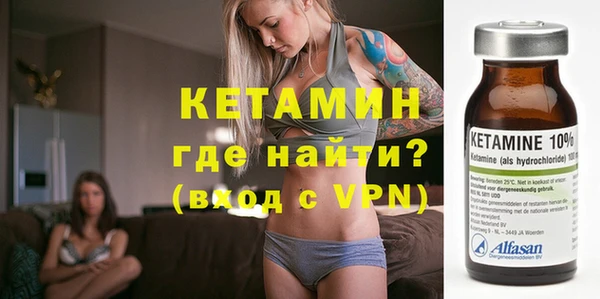 индика Козельск