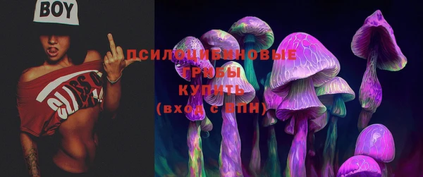 а пвп мука Кодинск