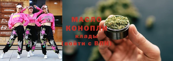 индика Козельск