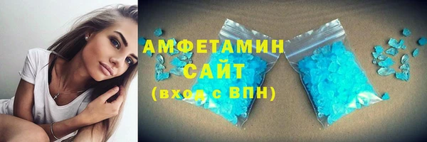 индика Козельск