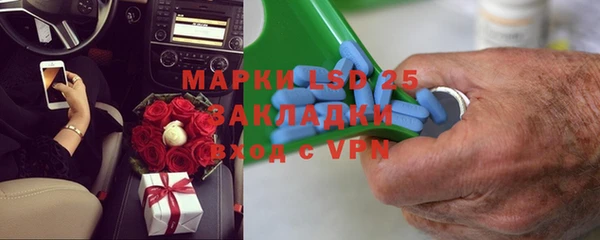 индика Козельск