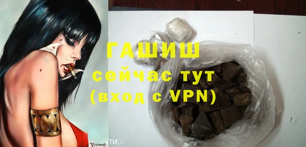 индика Козельск