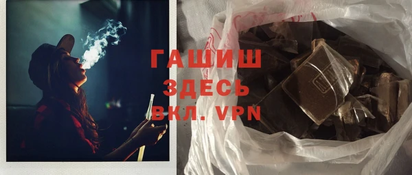 индика Козельск