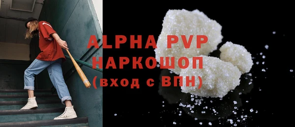 индика Козельск
