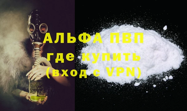 индика Козельск