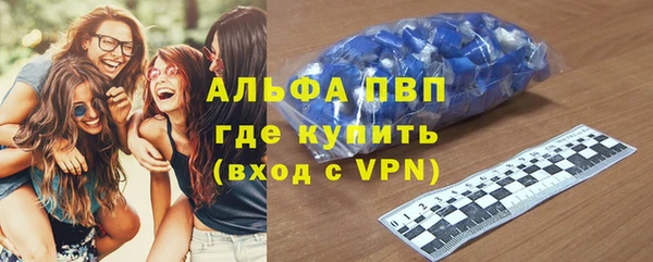 индика Козельск