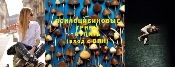 индика Козельск