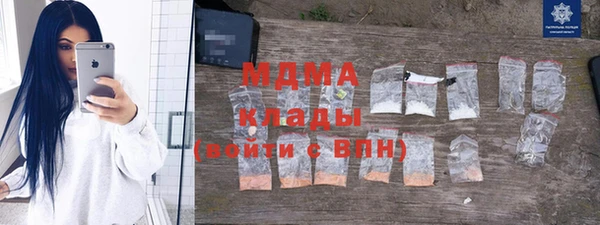 индика Козельск