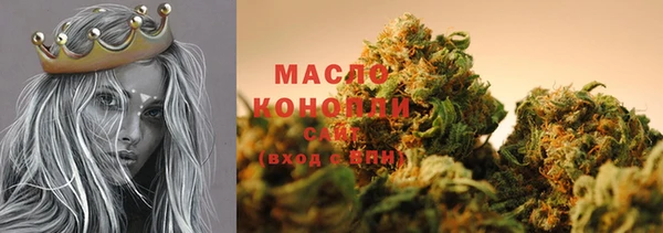 индика Козельск