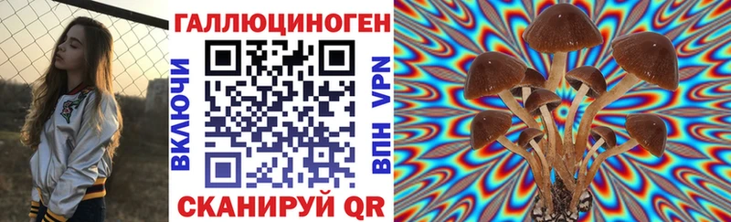 Галлюциногенные грибы Magic Shrooms  Купить закладки  Вилючинск 